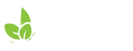 logo las elviras horizontal