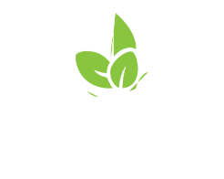 logo las elviras